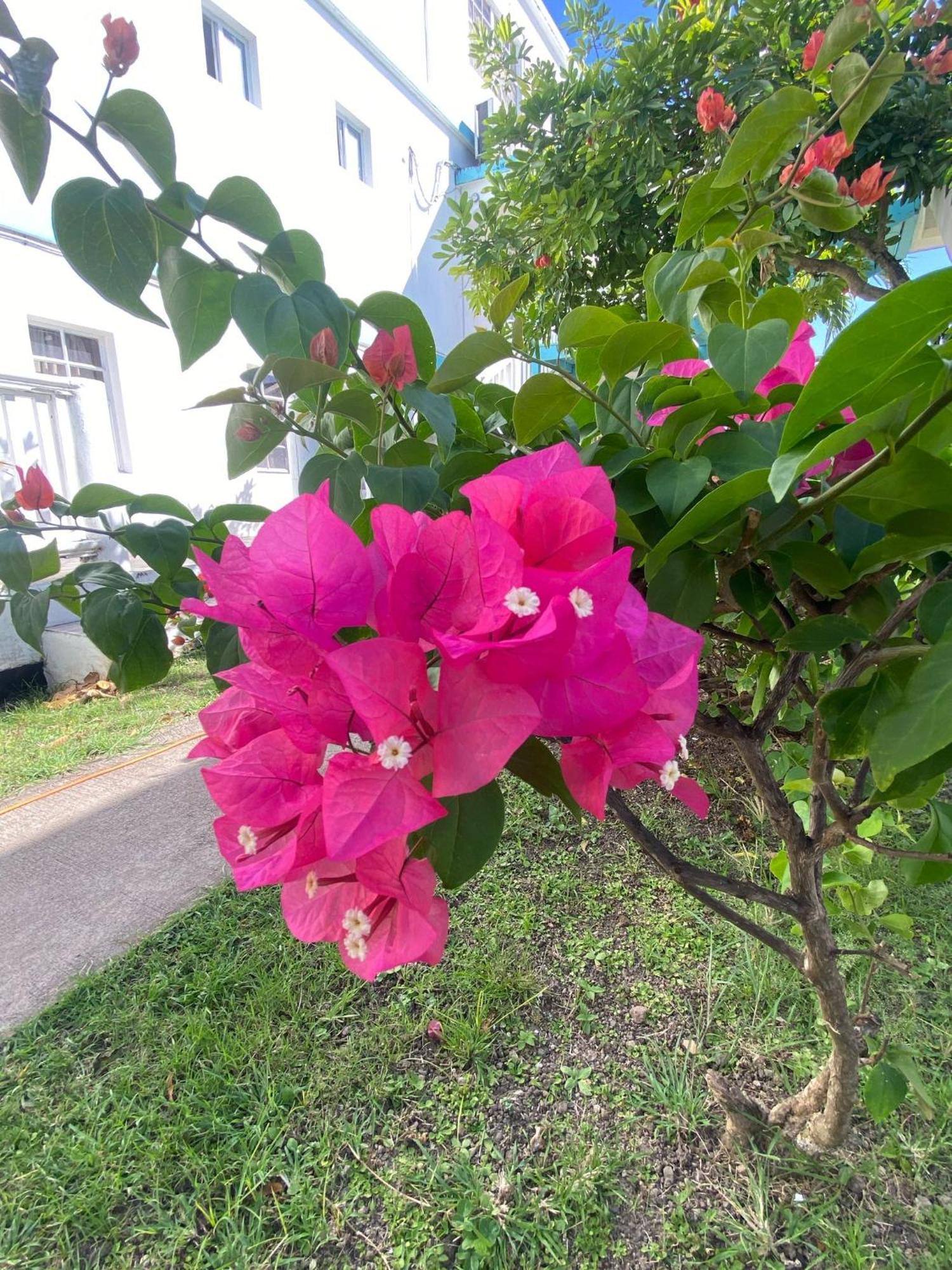 Beverley'S Guest House, Nevis Exterior foto